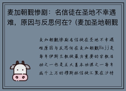 麦加朝觐惨剧：名信徒在圣地不幸遇难，原因与反思何在？(麦加圣地朝觐图片)