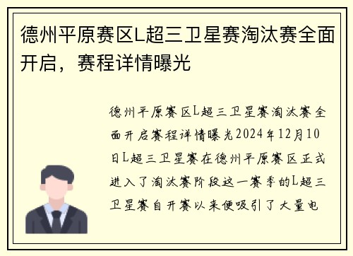 德州平原赛区L超三卫星赛淘汰赛全面开启，赛程详情曝光