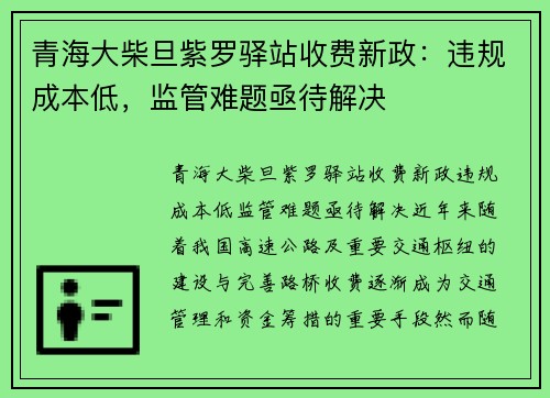 青海大柴旦紫罗驿站收费新政：违规成本低，监管难题亟待解决