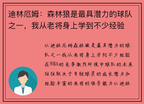 迪林厄姆：森林狼是最具潜力的球队之一，我从老将身上学到不少经验